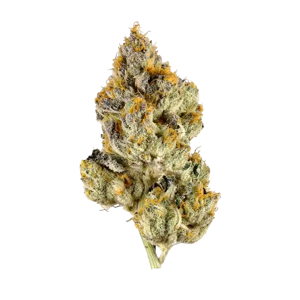 Or30 Cookies 24-26% THC Ounce