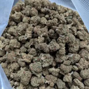 24-26% THC King Kush [Ounce]