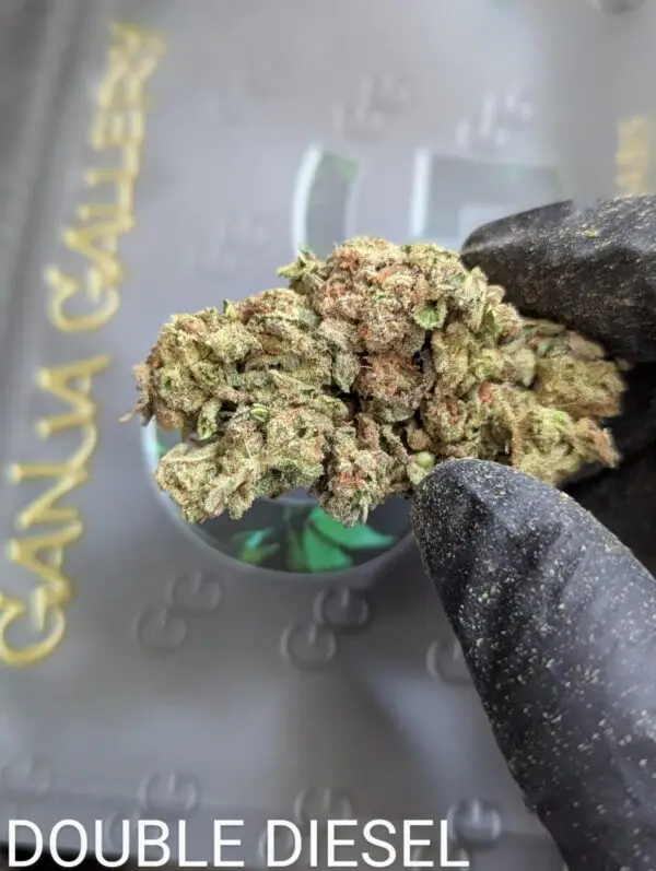 21-24% THC Double Diesel [Ounce]