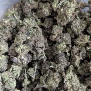 THC 24-26% QP purple Punch