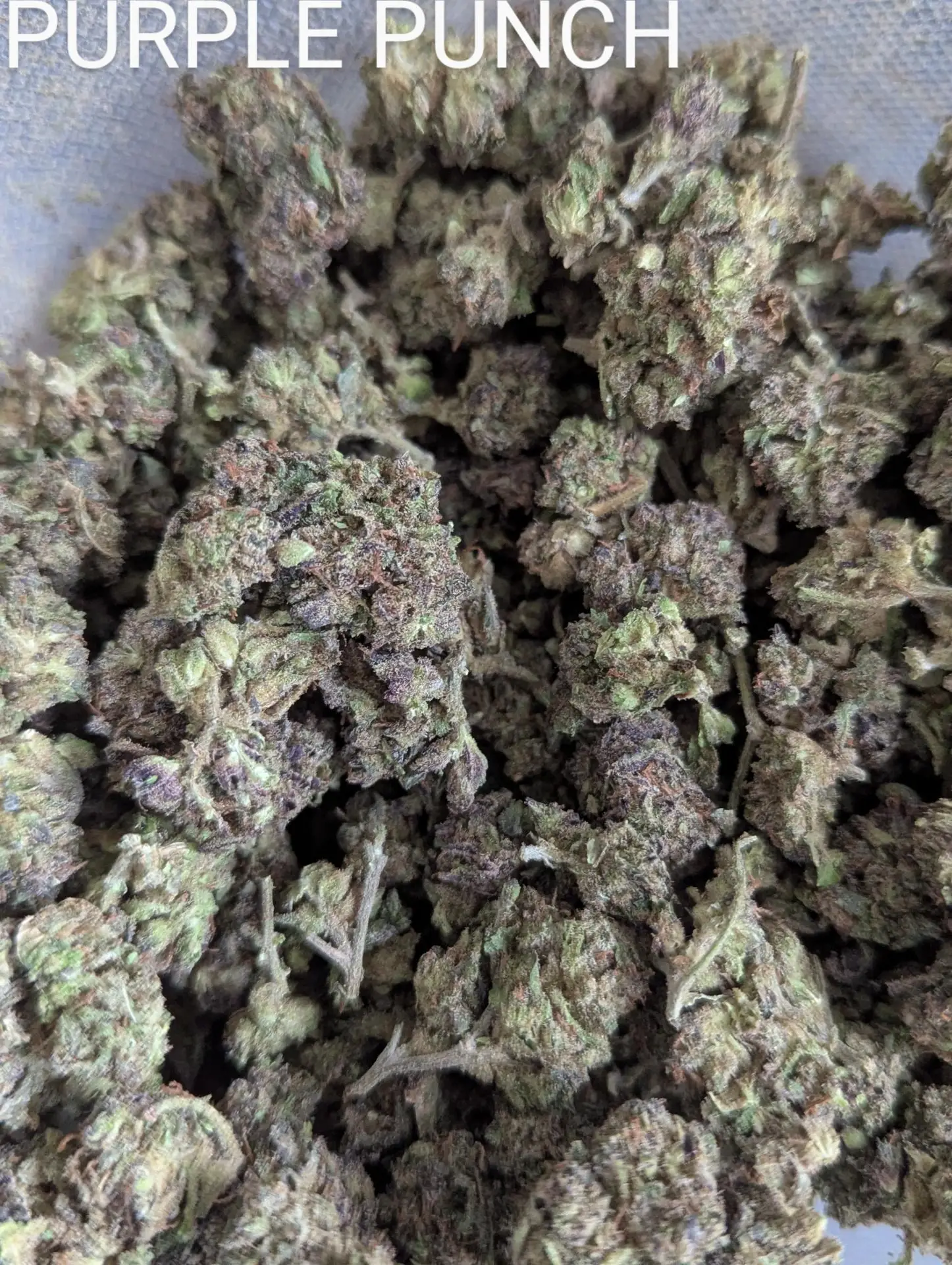 QP Purple Punch 24-26% THC