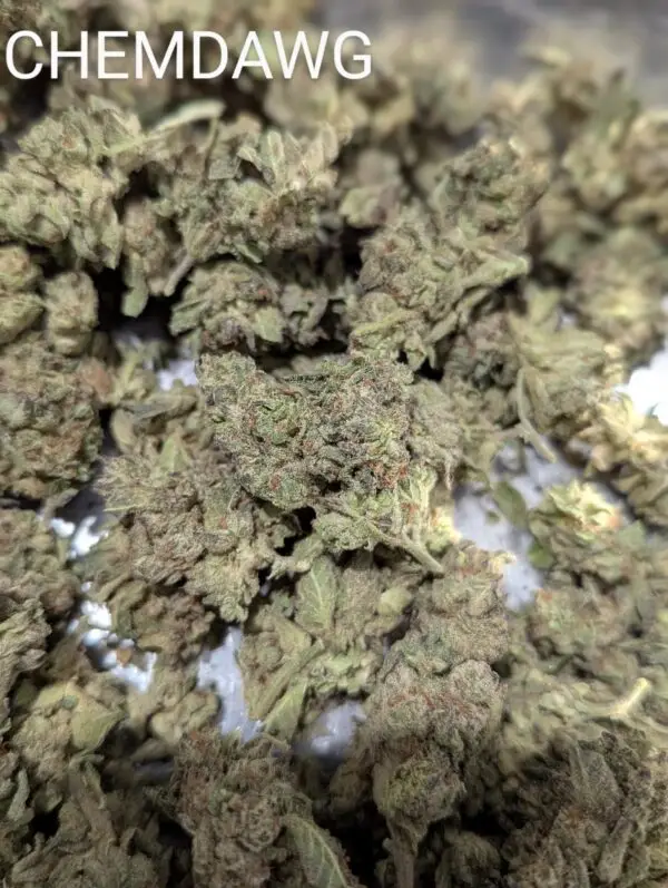 [AAA++] Chemdawg Ounce