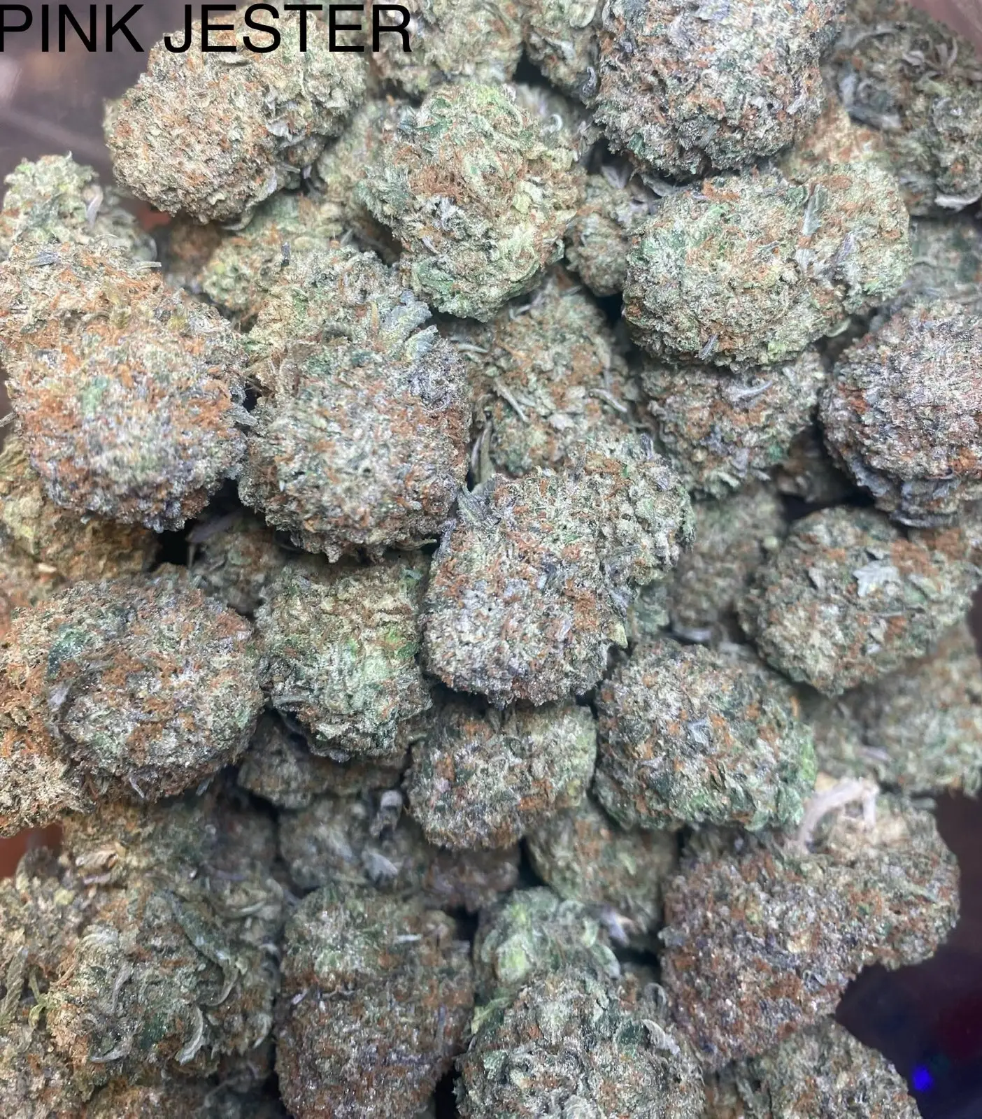 Pink Jester 30-32% THC Ounce