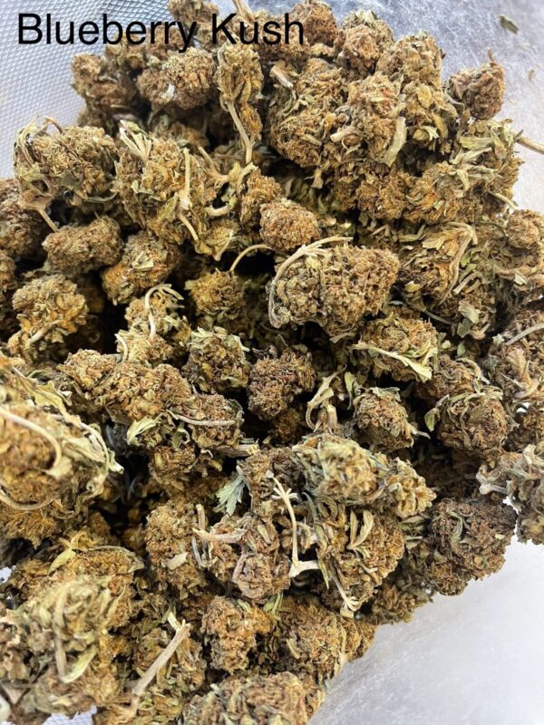blueberry kush HALF POUND