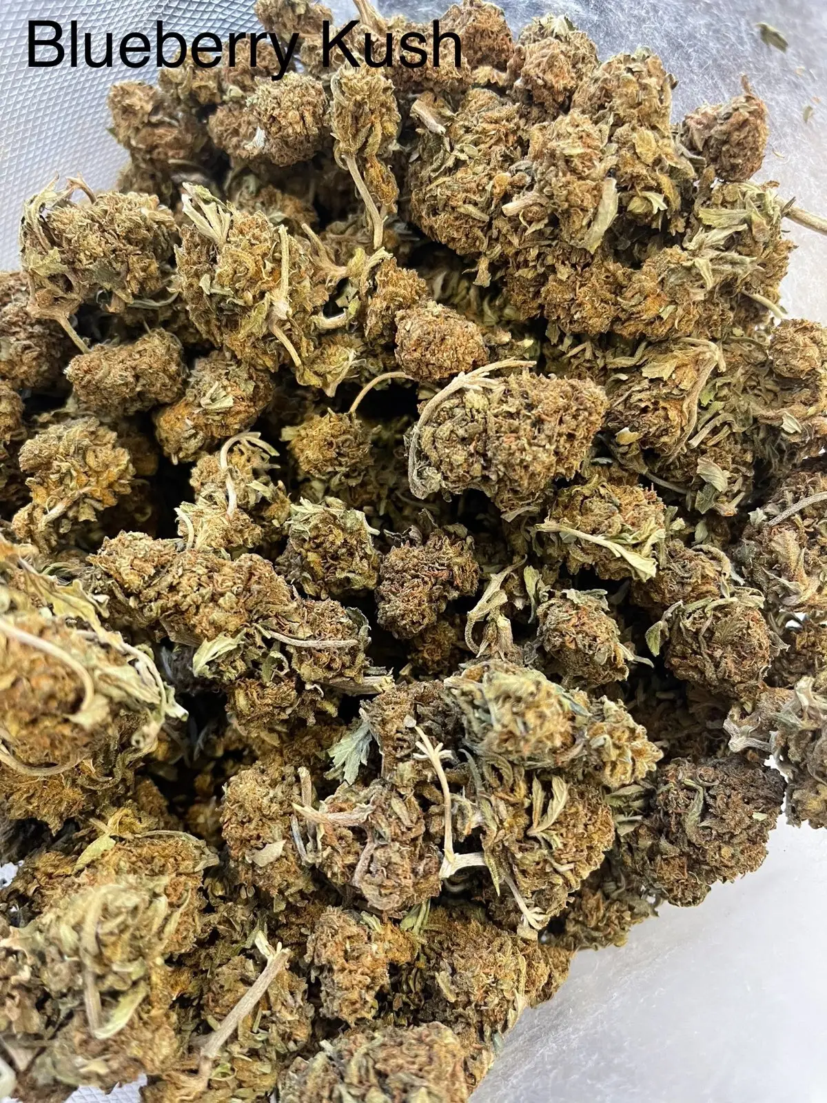 blueberry kush HALF POUND