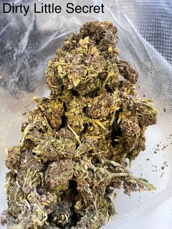 Dirty Little Secret [FULL POUND]