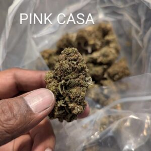 Pink Casa